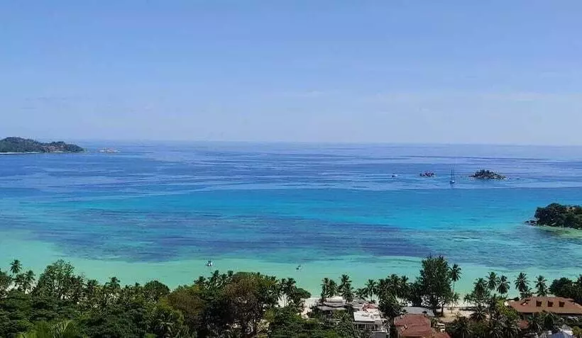 آپارتمان 1 خوابه با چشم‌انداز دریا, Mango Lodge