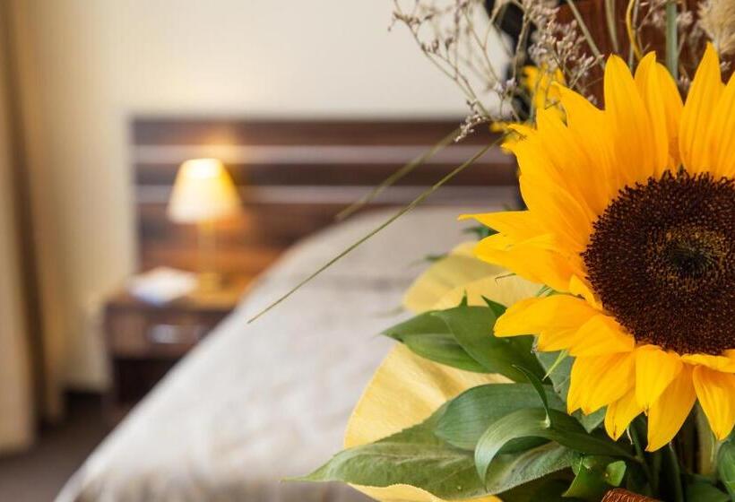 Family Suite, Laguna Park & Aqua Club  All Inclusive