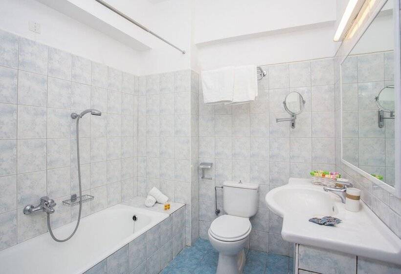 Номер Стандарт Трехместный, Mon Repos