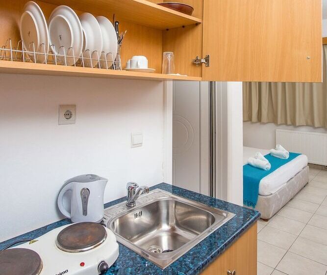 Студия Стандарт, Mon Repos