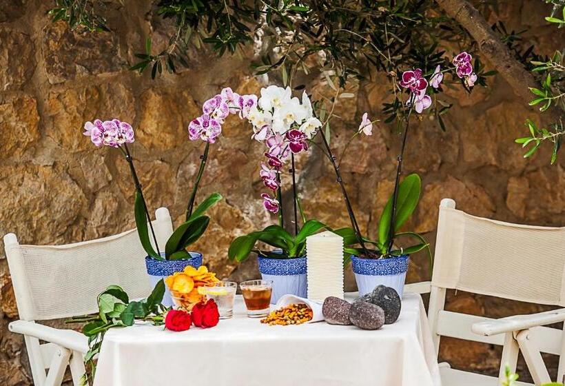 Standardzimmer, Nautilus Dome