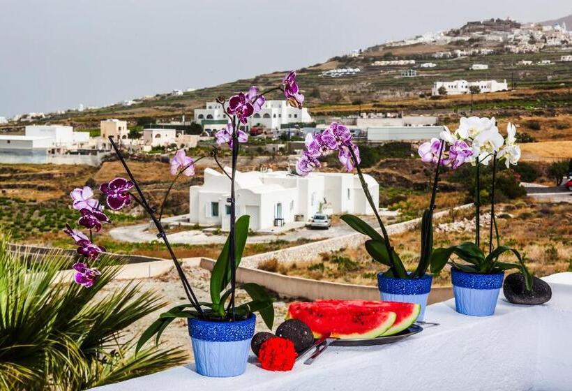 Standardzimmer mit Meerblick, Nautilus Dome