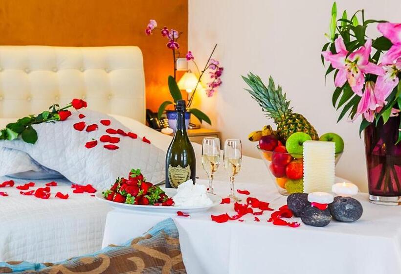 Superior-Zimmer, Nautilus Dome