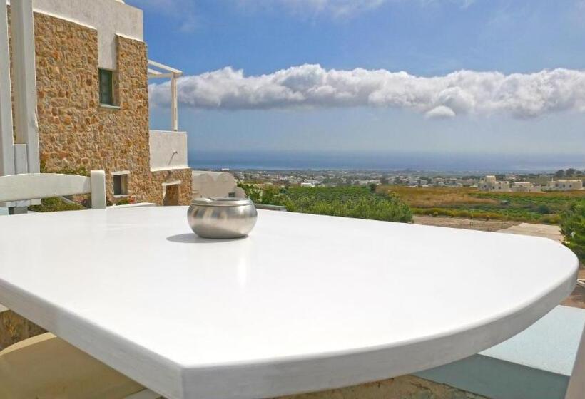 Economy Zimmer, Nautilus Dome