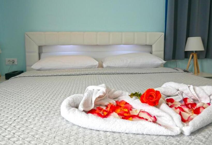 Economy Zimmer, Nautilus Dome