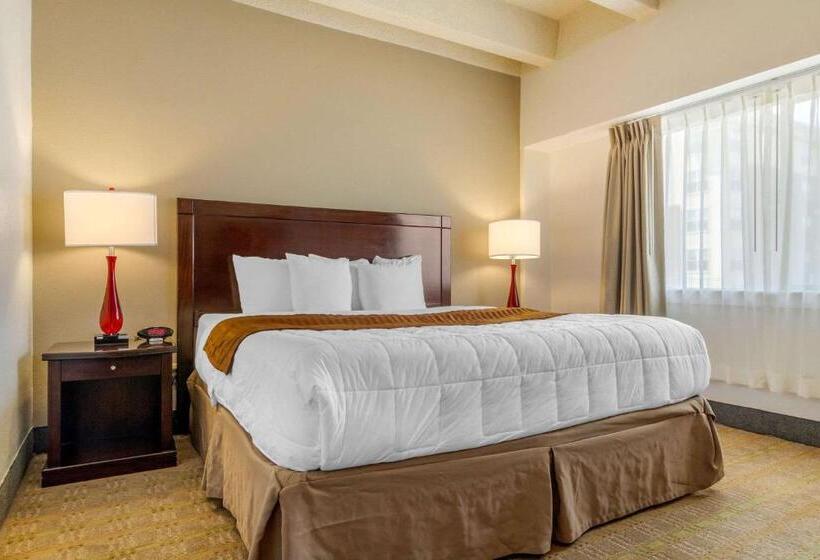 带大床的套房, Budget Inn Denver Downtown