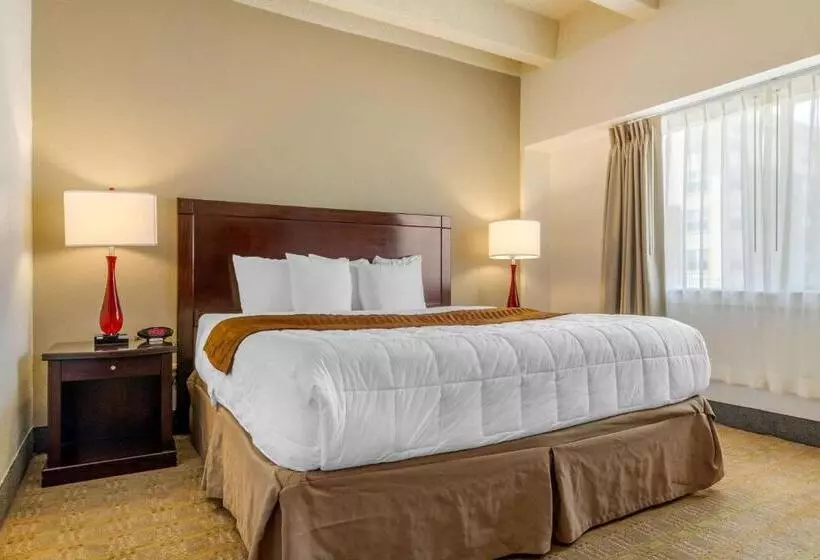 キングサイズベッドのスイートルーム, Budget Inn Denver Downtown