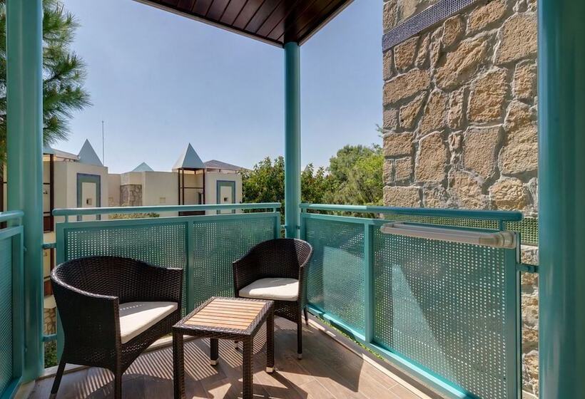 이코노미 룸, Robinson Pamfilya   All Inclusive