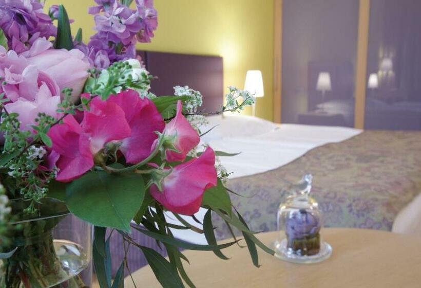 استودیوی استاندارد, Appartement Hotel An Der Riemergasse