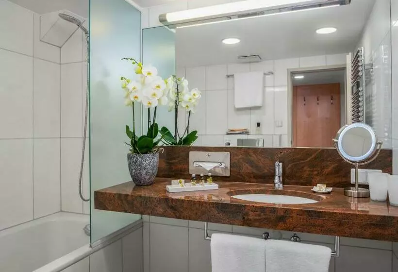 استودیوی استاندارد, Appartement Hotel An Der Riemergasse