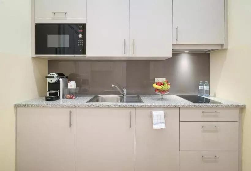 استودیوی سوپریور, Appartement Hotel An Der Riemergasse