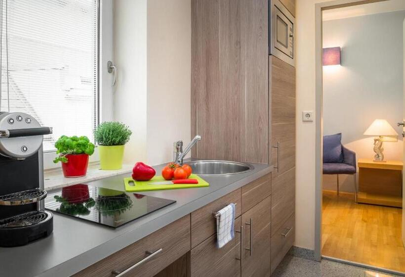 استودیو خانوادگی, Appartement Hotel An Der Riemergasse
