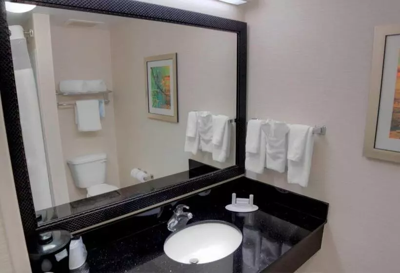 ２ダブルベッドのスタンダードルーム, Fairfield Inn & Suites By Marriott Mobile Daphne/eastern Shore