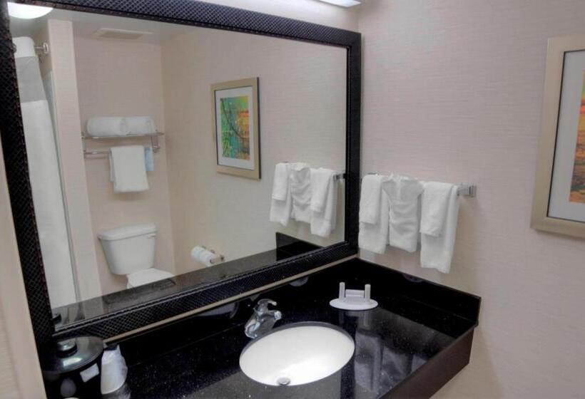 带大床的标准间, Fairfield Inn & Suites By Marriott Mobile Daphne/eastern Shore