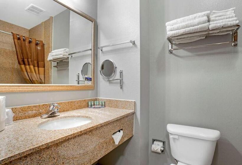 غرفة قياسية, Best Western Wakulla Inn & Suites