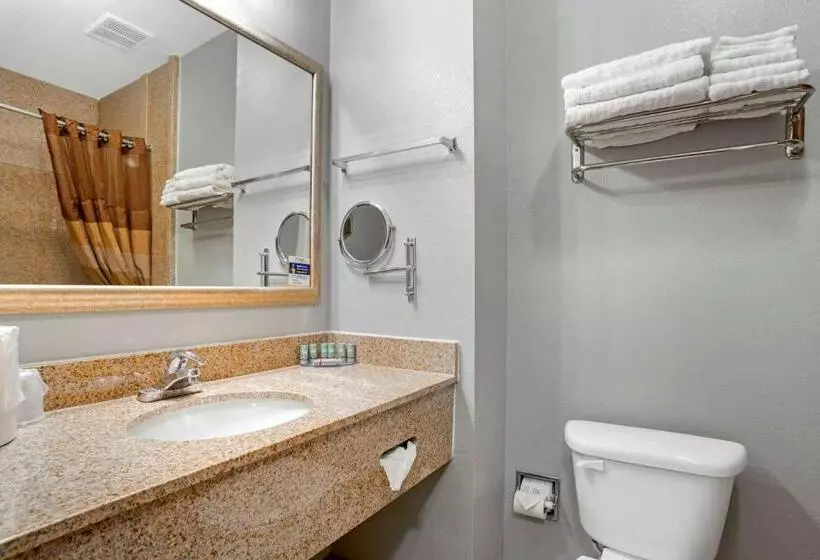 スタンダードルーム, Best Western Wakulla Inn & Suites