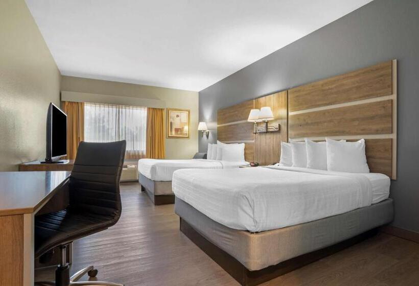 스탠다드 룸, Best Western Wakulla Inn & Suites
