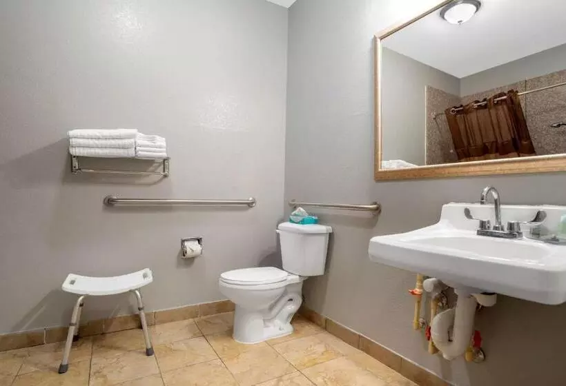 身障者適用キングサイズベッドルーム, Best Western Wakulla Inn & Suites