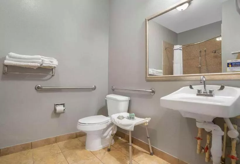 身障者適用キングサイズベッドルーム, Best Western Wakulla Inn & Suites