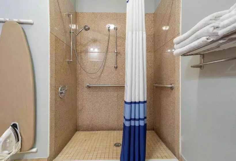 身障者適用キングサイズベッドルーム, Best Western Wakulla Inn & Suites