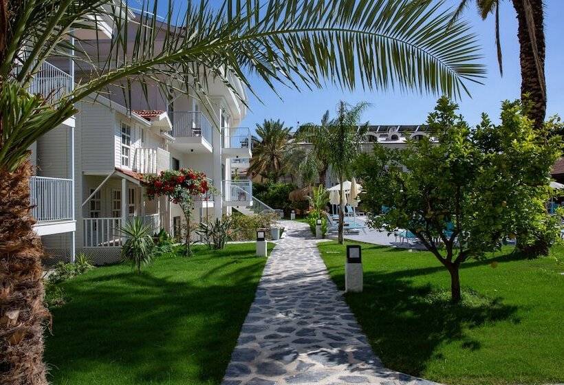 スタンダードルーム, Blue Star