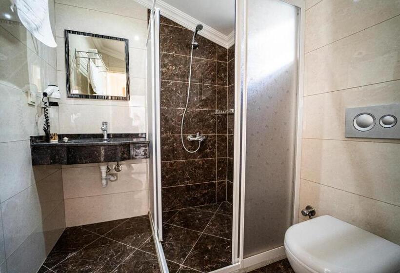 スタンダードルーム, Blue Star