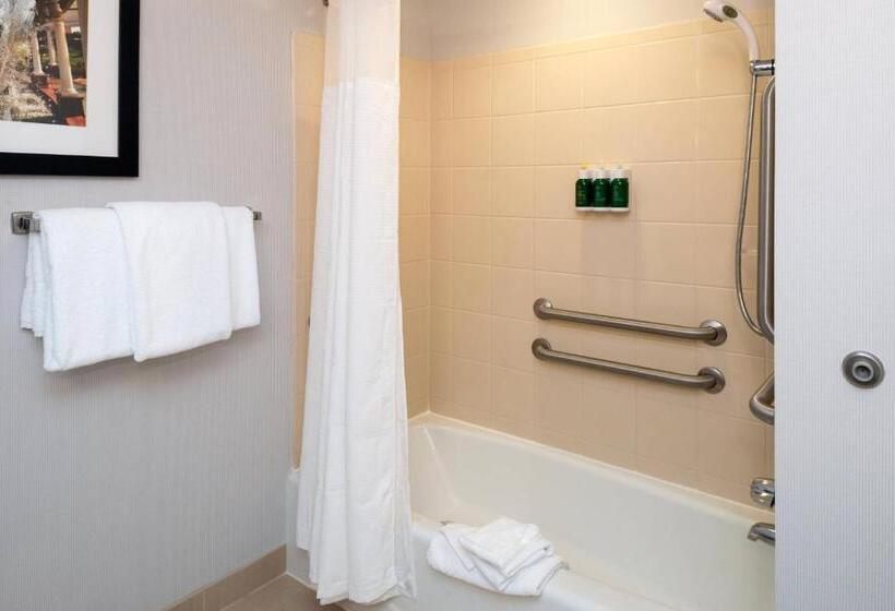 اتاق استاندارد با تخت بزرگ, Courtyard High Point