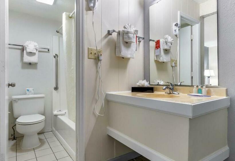 プールの見えるシングルルーム, Econo Lodge Of Conway