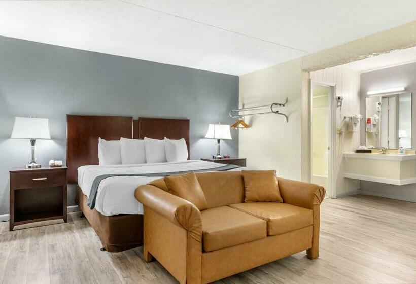 可看到泳池的单人间, Econo Lodge Of Conway