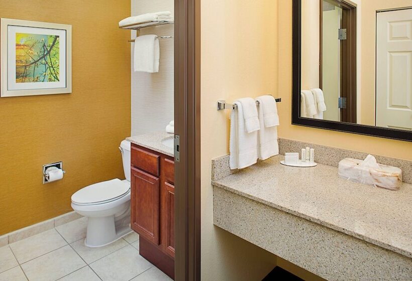 استودیوی استاندارد, Fairfield Inn & Suites By Marriott Lafayette South