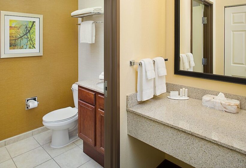 سوییت, Fairfield Inn & Suites By Marriott Lafayette South