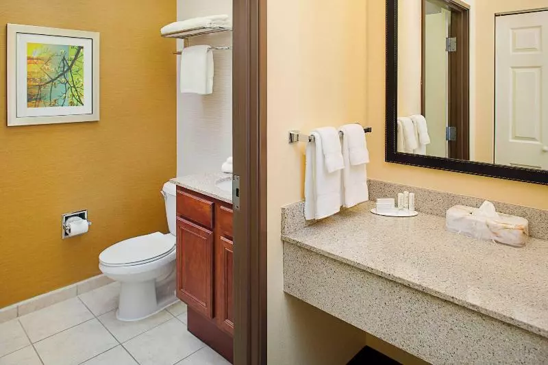 キングサイズベッドのスイートルーム, Fairfield Inn & Suites By Marriott Lafayette South