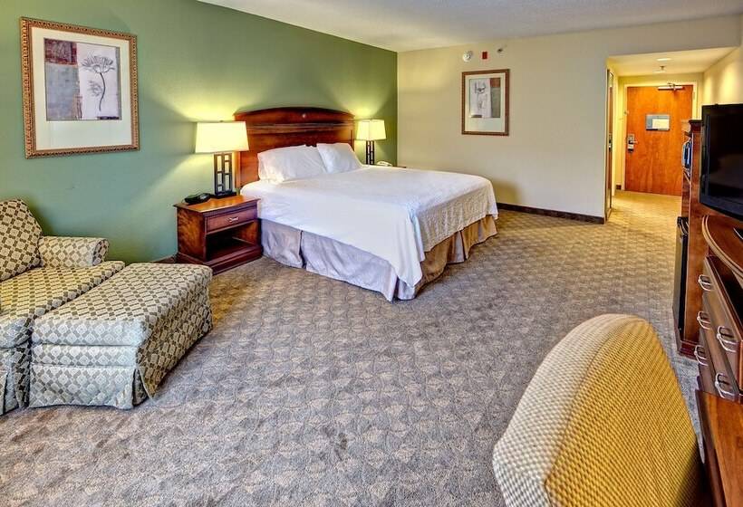 غرفة قياسية مطلة على الجبل, Hampton Inn & Suites Cashierssapphire Valley