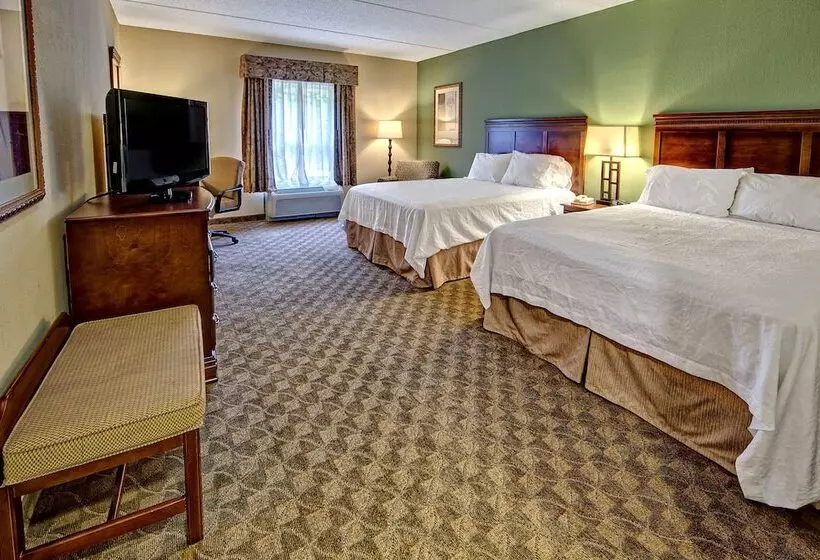 マウンテンビュースタンダードルーム, Hampton Inn & Suites Cashierssapphire Valley