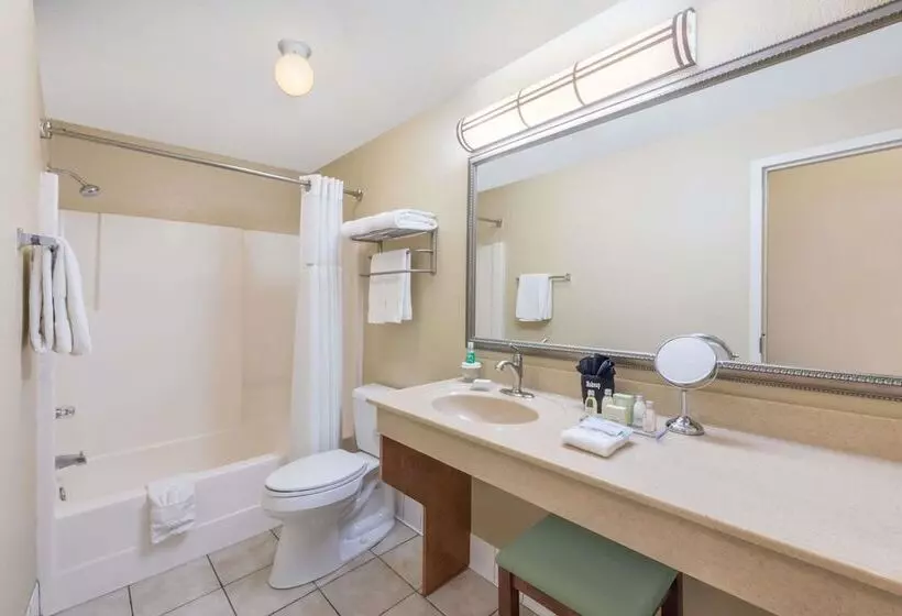 身障者適用スタンダードルーム, Hawthorn Extended Stay By Wyndham Rome
