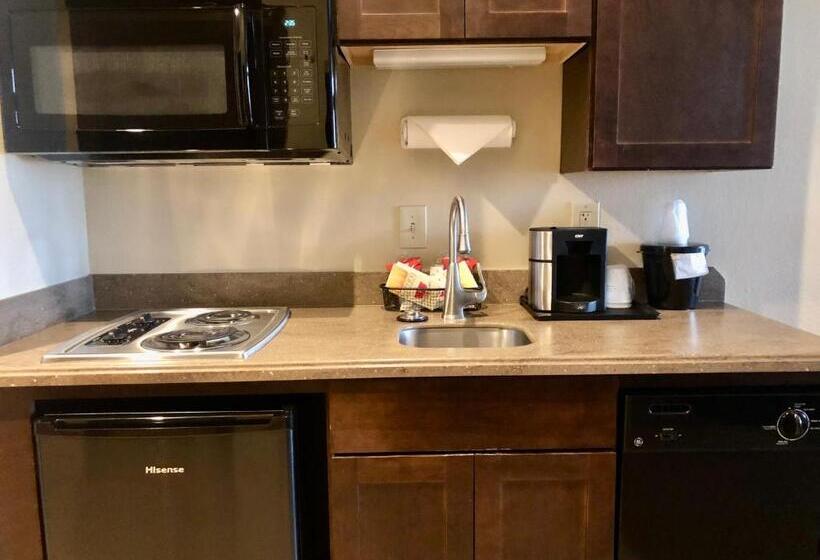 キングサイドベッドのスタンダードワンルーム, Hawthorn Extended Stay By Wyndham Rome