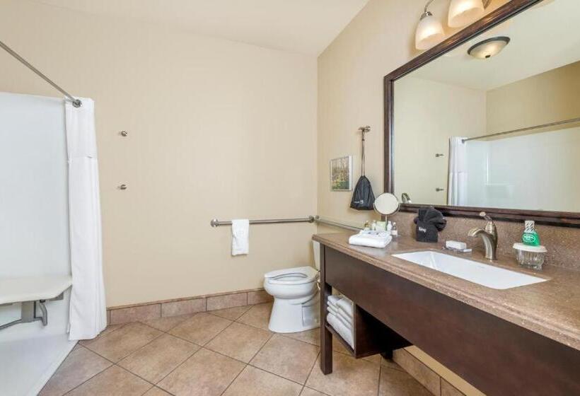 身障者適用スタンダードルーム, Hawthorn Extended Stay By Wyndham Rome