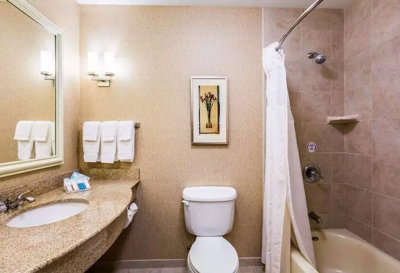 ２ダブルベッドのスタンダードルーム, Hilton Garden Inn Milwaukee Northwest Conference Center