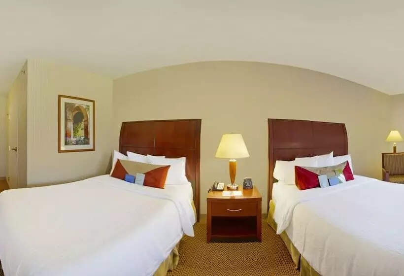２ダブルベッドのスタンダードルーム, Hilton Garden Inn Milwaukee Northwest Conference Center