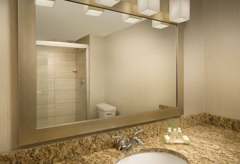 חדר סטנדרט, Holiday Inn El Paso Airport, An Ihg