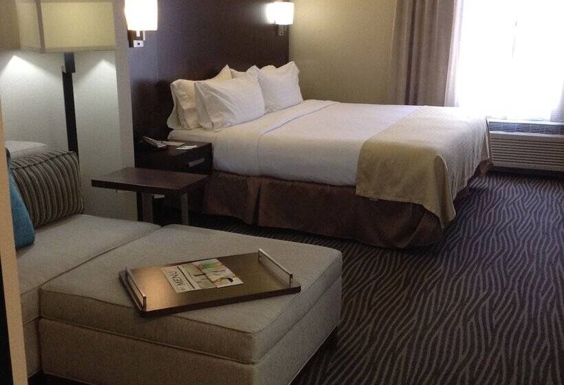 חדר סטנדרט, Holiday Inn El Paso Airport, An Ihg