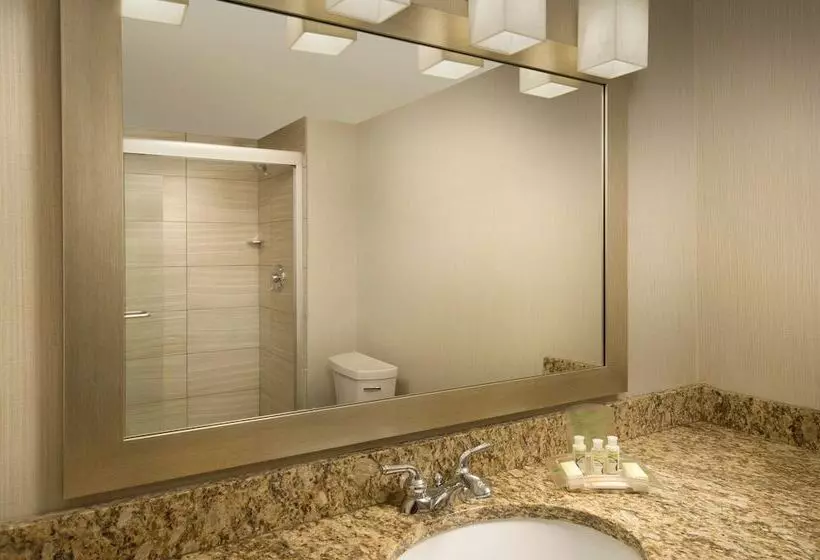 ２ダブルベッドのスタンダードルーム, Holiday Inn El Paso Airport, An Ihg