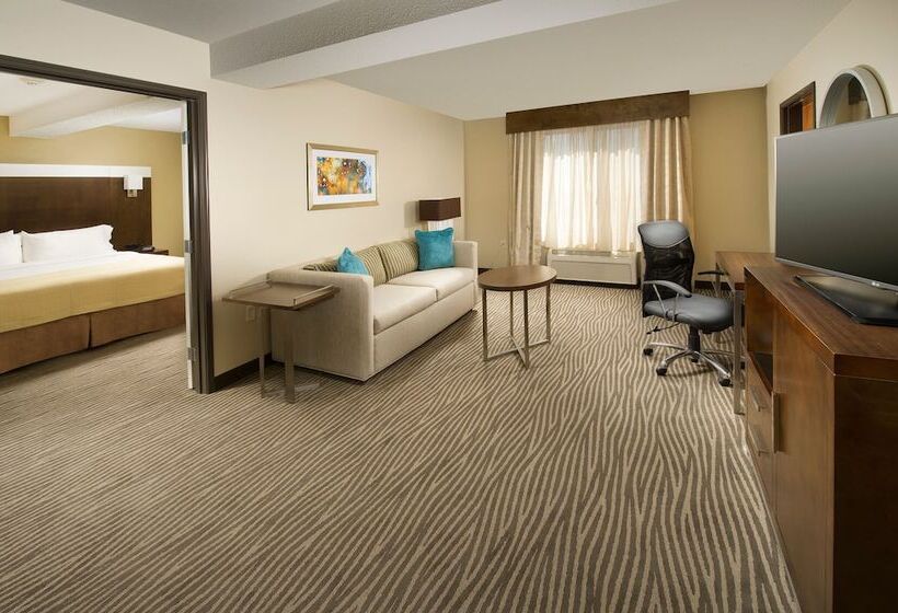 חדר סטנדרט, Holiday Inn El Paso Airport, An Ihg