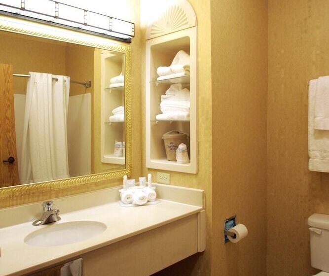 غرفة قياسية, Holiday Inn Express Hotel & Suites Gillette, An Ihg