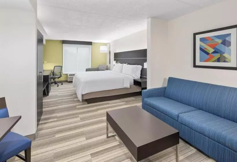 Deluxe Suite King Bed, Holiday Inn Express Hotel & Suites Greenville I 85 & Woodruff Road, An Ihg