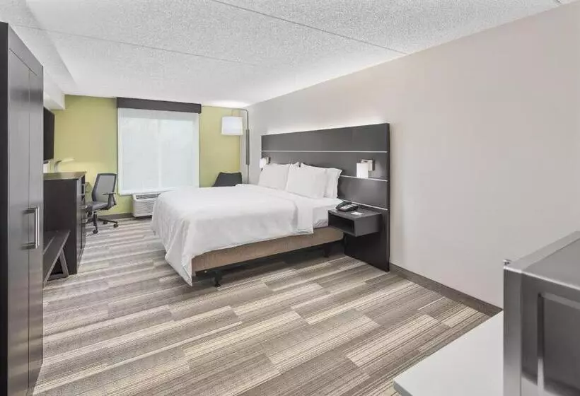 اتاق استاندارد با تخت بزرگ, Holiday Inn Express Hotel & Suites Greenville I 85 & Woodruff Road, An Ihg