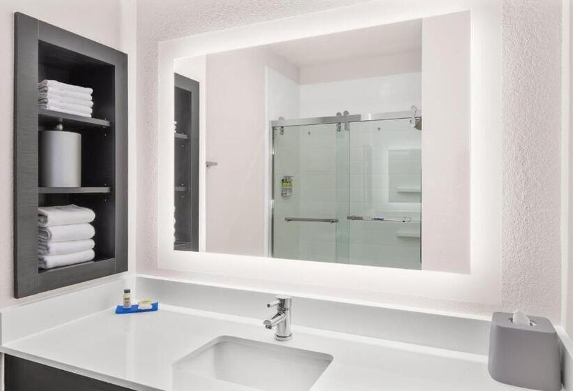 חדר סטנדרט עם מיטת קינג, Holiday Inn Express Hotel & Suites Greenville I 85 & Woodruff Road, An Ihg