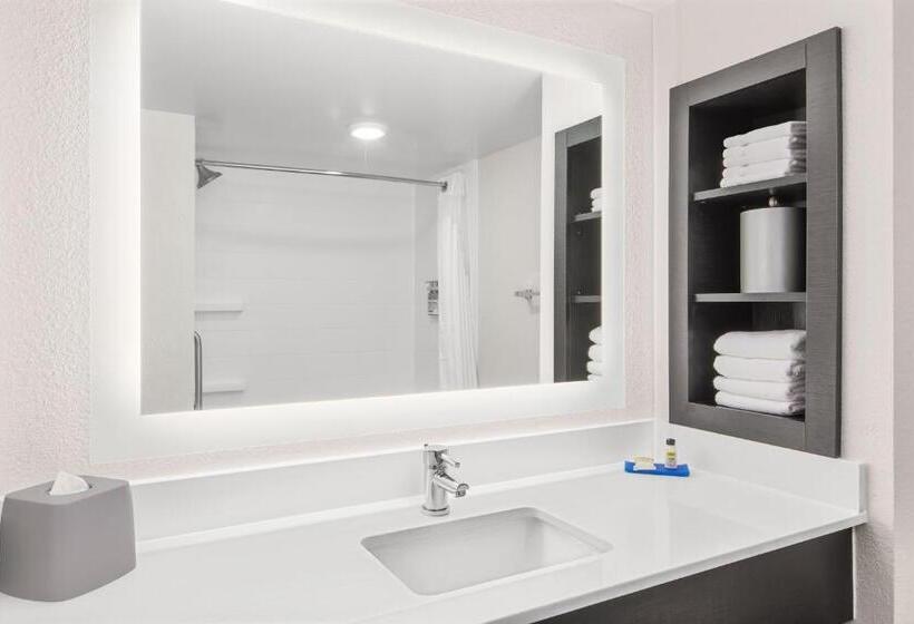 חדר סטנדרט עם מיטת קינג, Holiday Inn Express Hotel & Suites Greenville I 85 & Woodruff Road, An Ihg