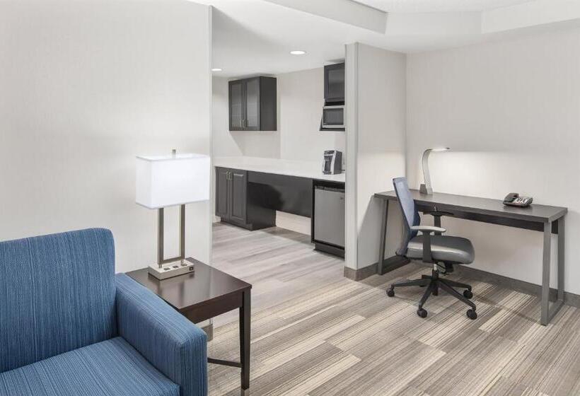 סוויטת אקזקיוטיב 2 חדרים, Holiday Inn Express Hotel & Suites Greenville I 85 & Woodruff Road, An Ihg