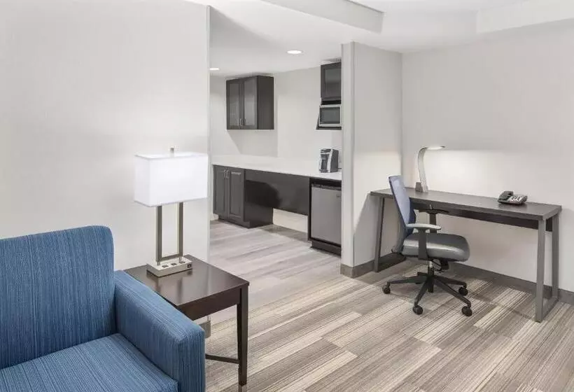 سوئیت مدیریتی 2 خوابه, Holiday Inn Express Hotel & Suites Greenville I 85 & Woodruff Road, An Ihg